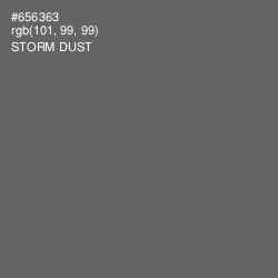#656363 - Storm Dust Color Image
